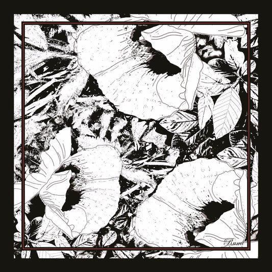 Pure Silk Poppy Scarf image 1