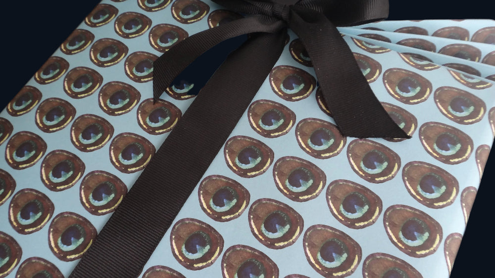 Gift wrapped in a wrapping paper featuring a peacock feather pattern on a light blue background and black ribbon.