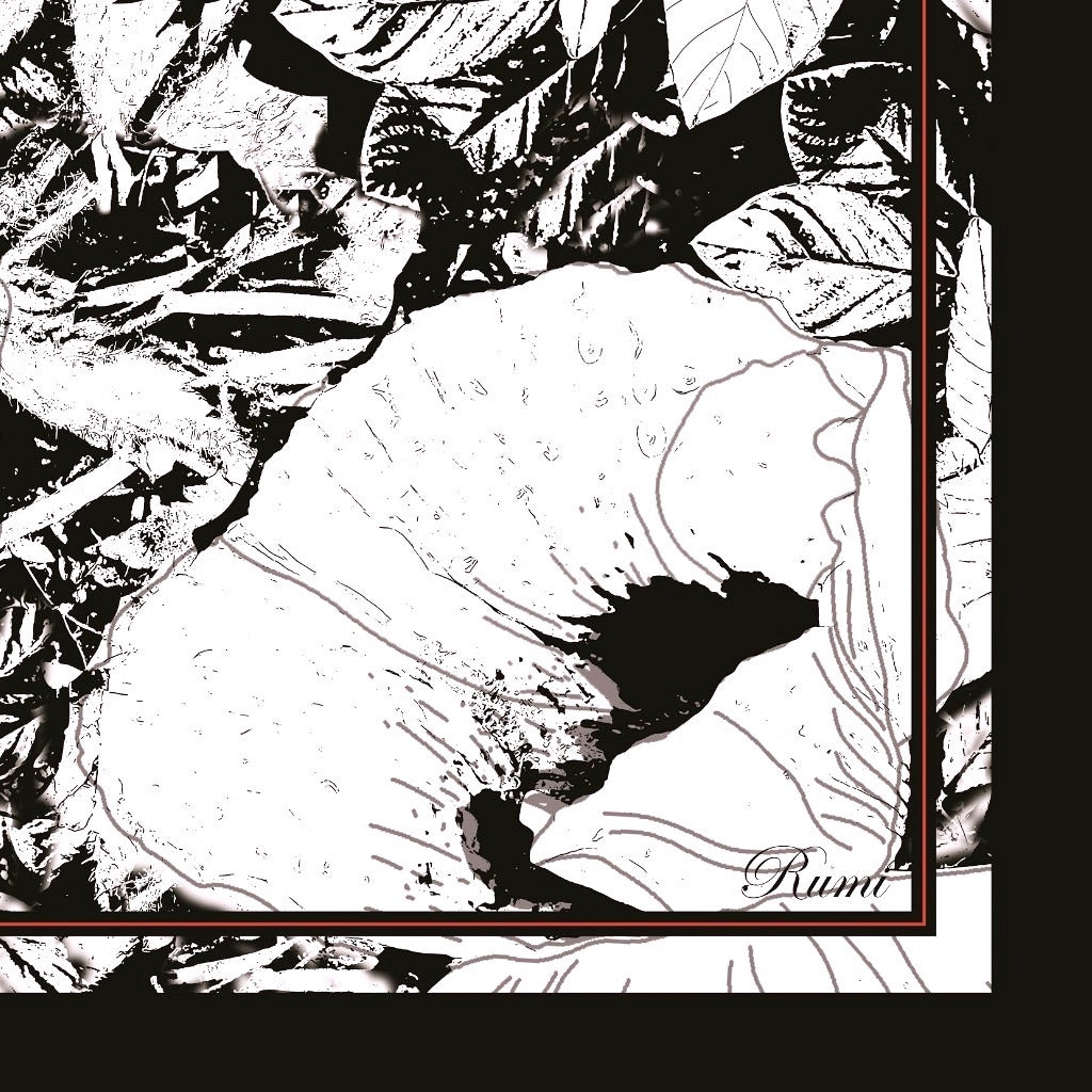 Pure Silk Poppy Scarf image 2