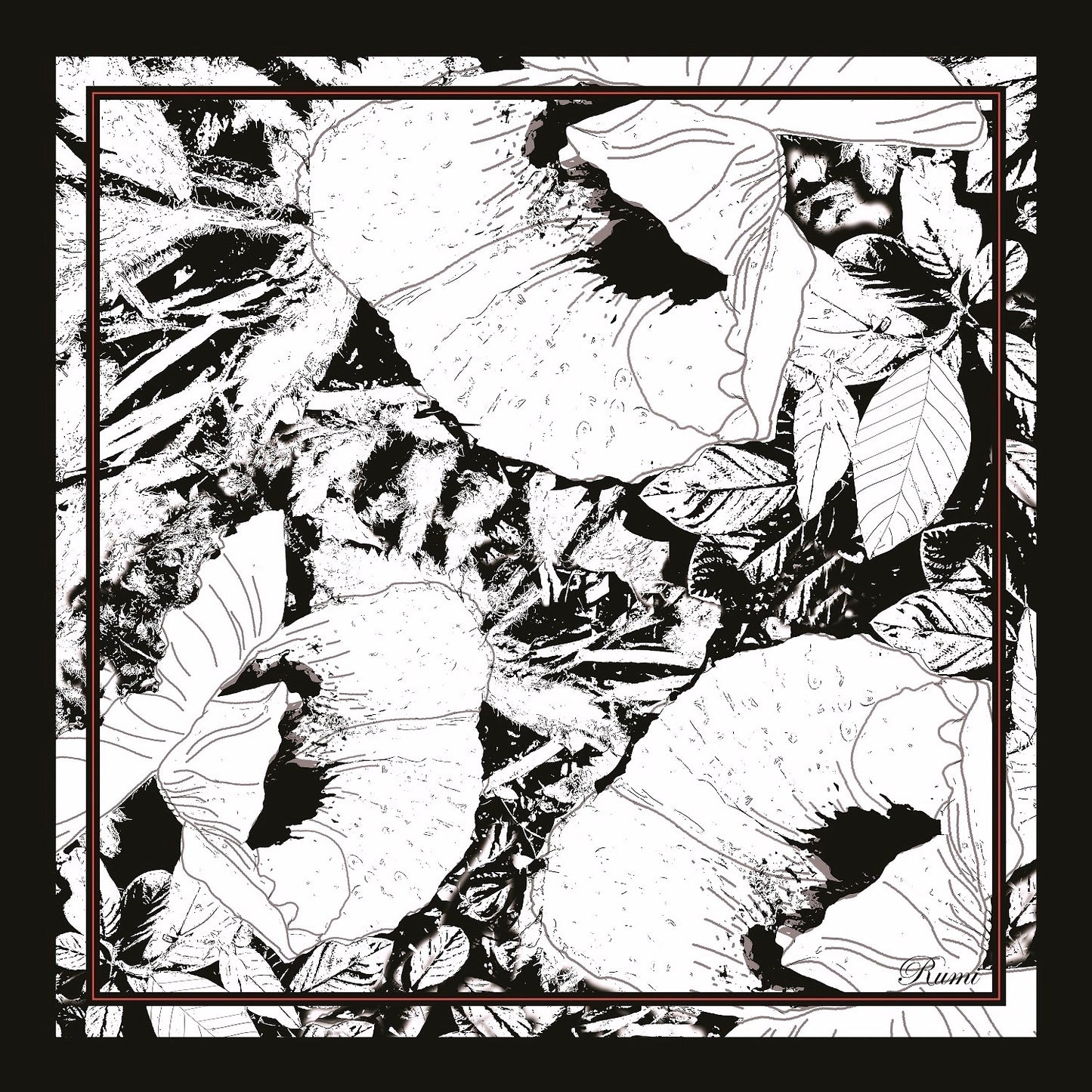 Pure Silk Poppy Scarf image 1