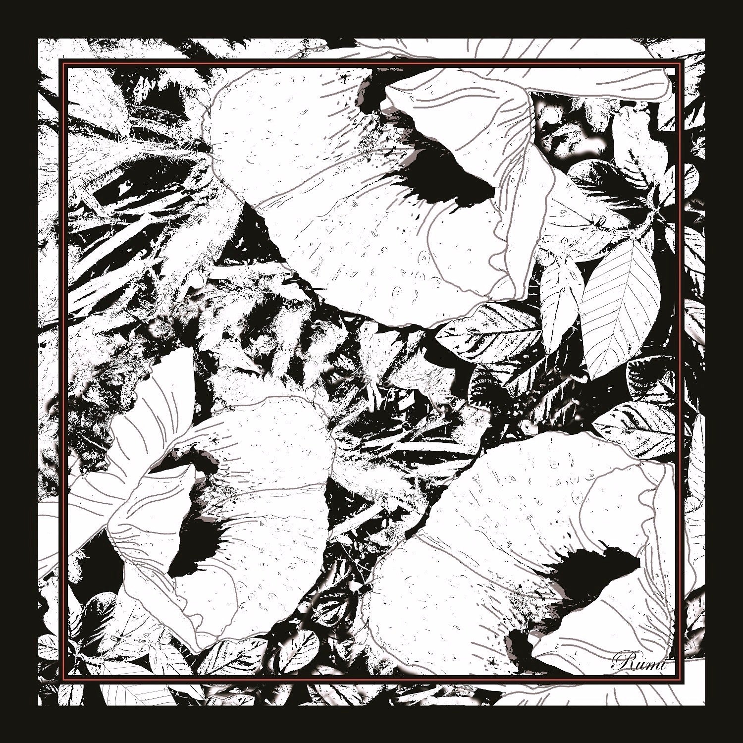 Pure Silk Poppy Scarf image 1